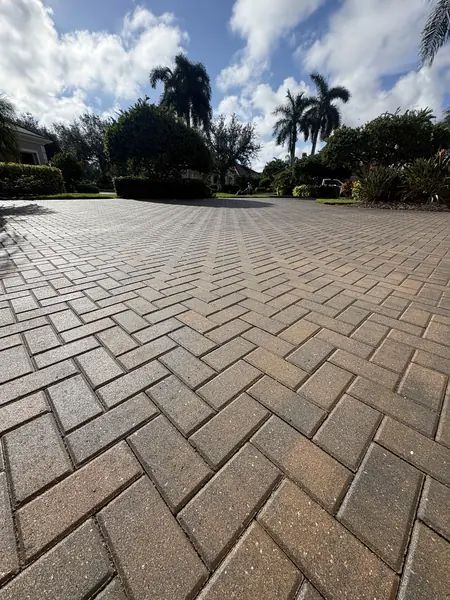 Low angle on a herringbone paver surface with palm trees and a house in the distance