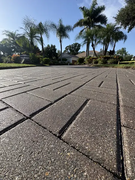 Low angle on rectangular pavers with wide joints stretching toward palm trees and a house