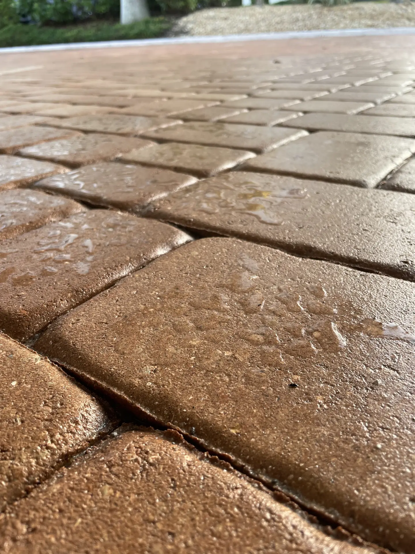 Extreme close up of wet tan pavers with water droplets and sand joints