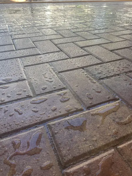 Low angle on wet interlocking pavers with a bluish sheen and standing water drops