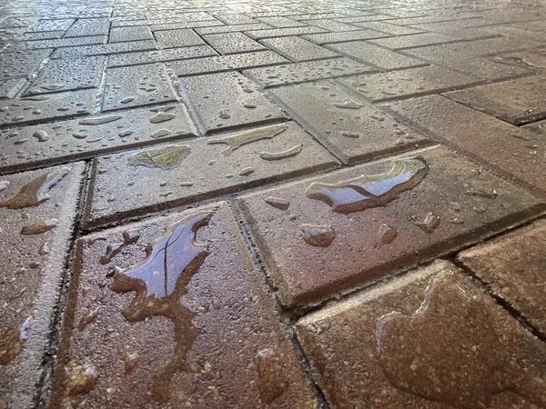 Low angle on wet red brown pavers with puddles on the surface