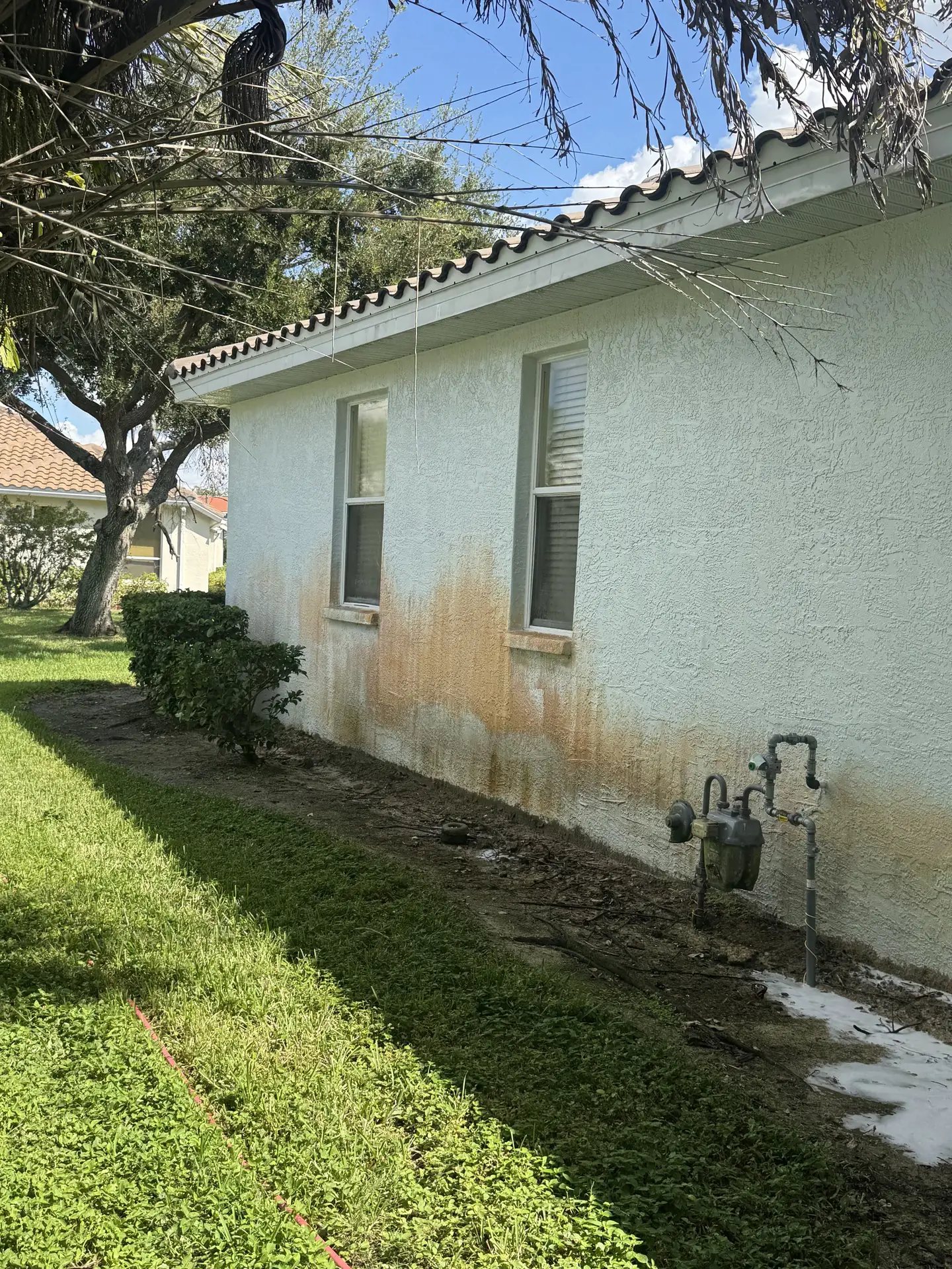 A white stucco wall with orange staining below the windows, a gas meter and a bush beside it