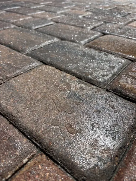 Close-up of wet brick pavers with a speckled, glittery sheen and patchy darker areas on the surface