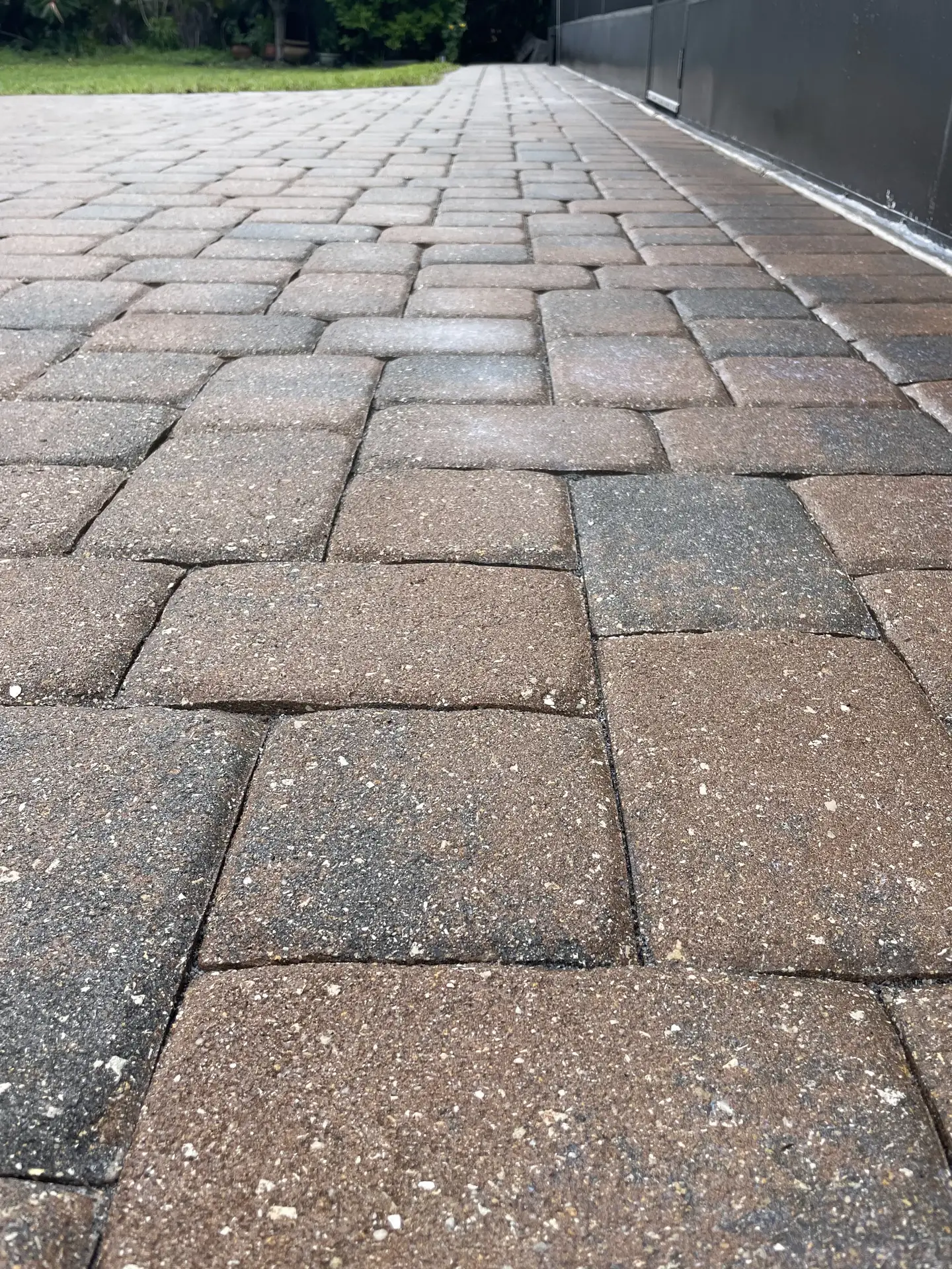 The same walkway pavers restored to a warm brown