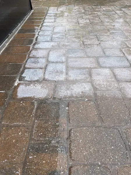 Walkway pavers beside a dark wall, gray on the upper part, a chalky white film band mid-way and wet brown pavers lower down