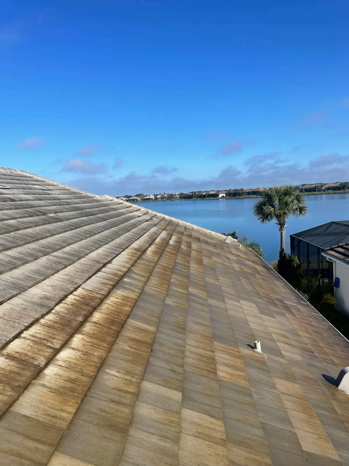 Tile roof halfway through a soft wash, the cleaned rows beside the stained ones, with the bay behind